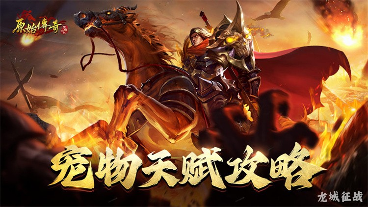 传奇道士：从辅助到王者的职业传奇
